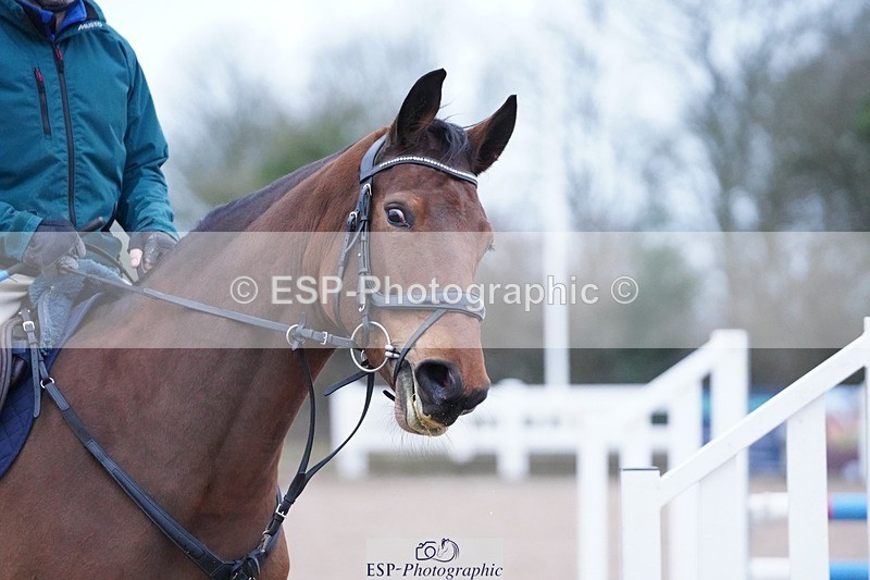 250223-083102-02980 - Cls 15 British Novice and 90cm Open