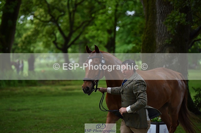 240522-152654-00348 - 356-CREEVAGHSTABLES_IFICUDIWUD-Tim_Cheffings