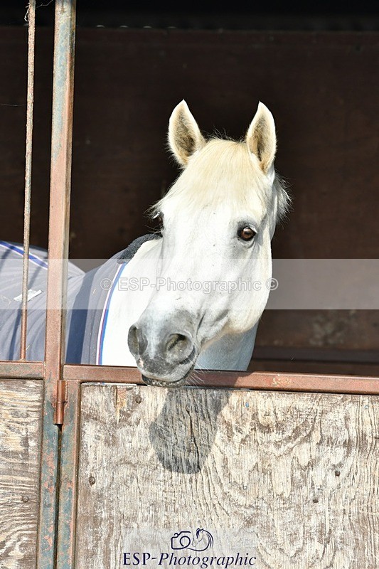 230817-084511-02449 - Stable Shots