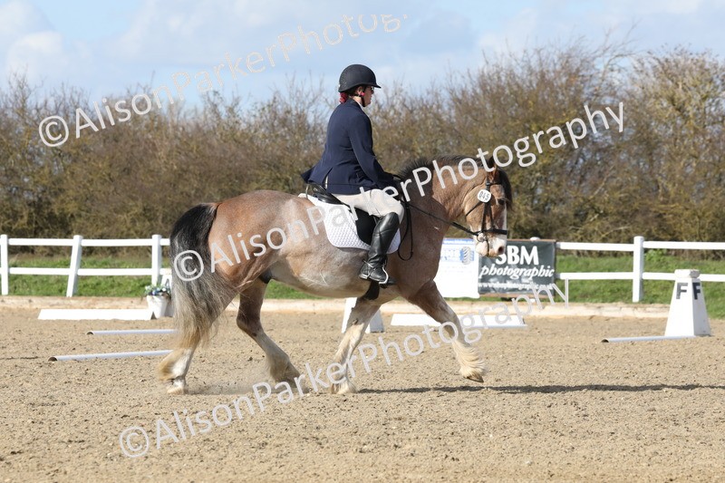 20260314-4997 - CT6 - Elementary 1