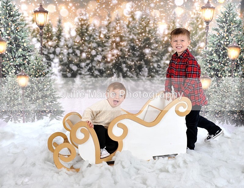 DSC_7493 - shannon ram