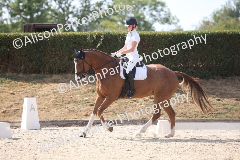 20260815-1146 - Class 6 - Novice 2