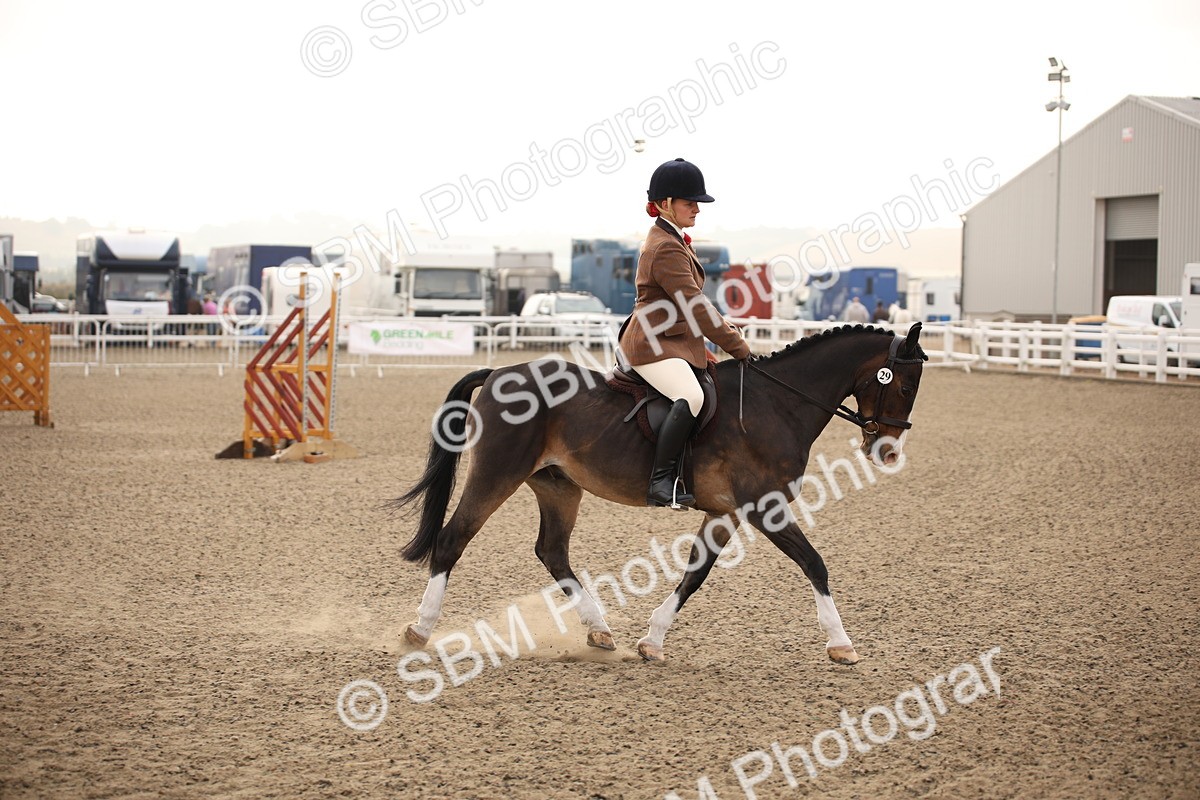 SBM_09798 - Class 401 Riding Club Pony