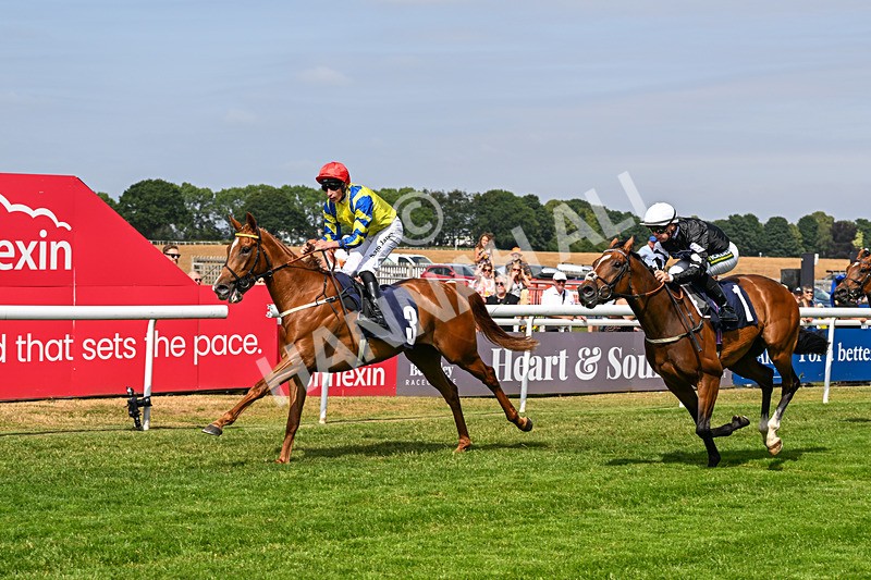 140726-Race 3-Pendella-0392 - Race 3 15.17pm Malcolm Greenslade Doncaster LVA Stalwart Memorial Handicap