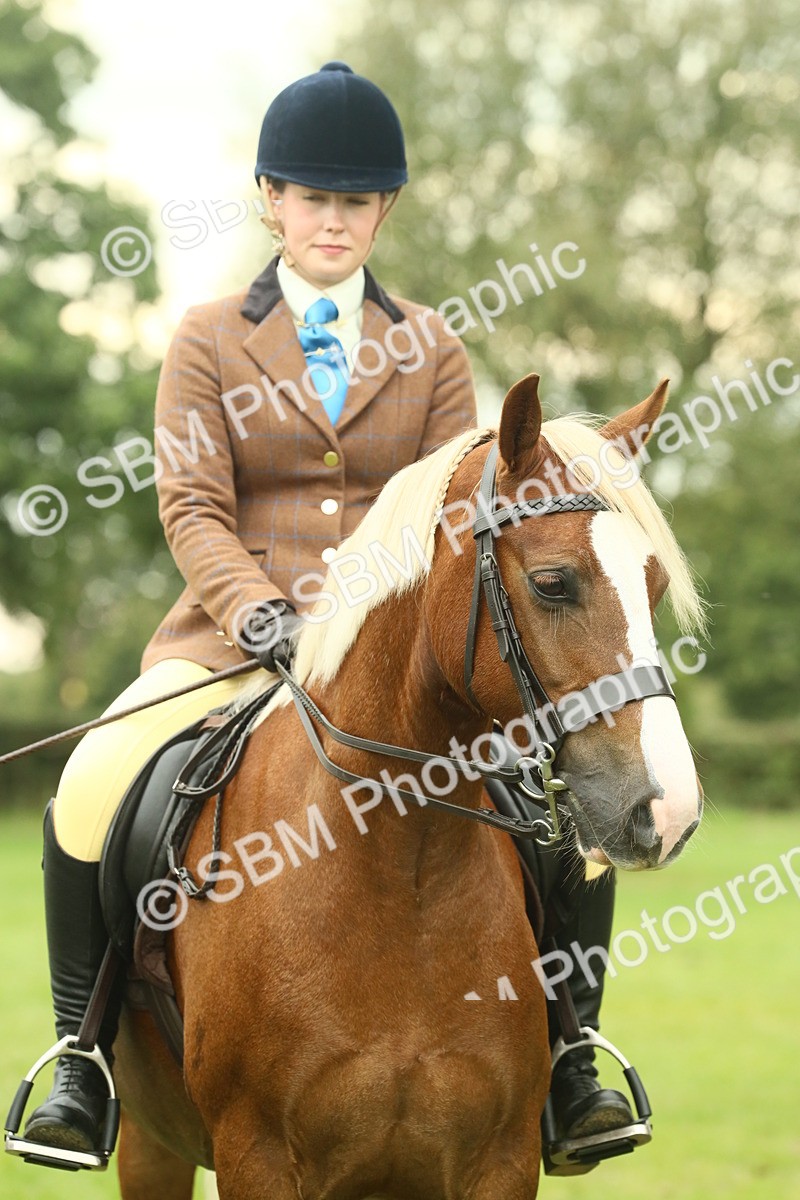 SBM_72292 - S60 - Mountain & Moorland Ridden Large Breeds