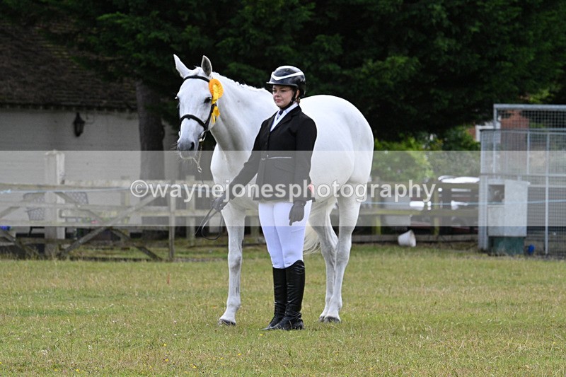 WJ7_7190 - Class 5a Most Handsome Gelding in Hand