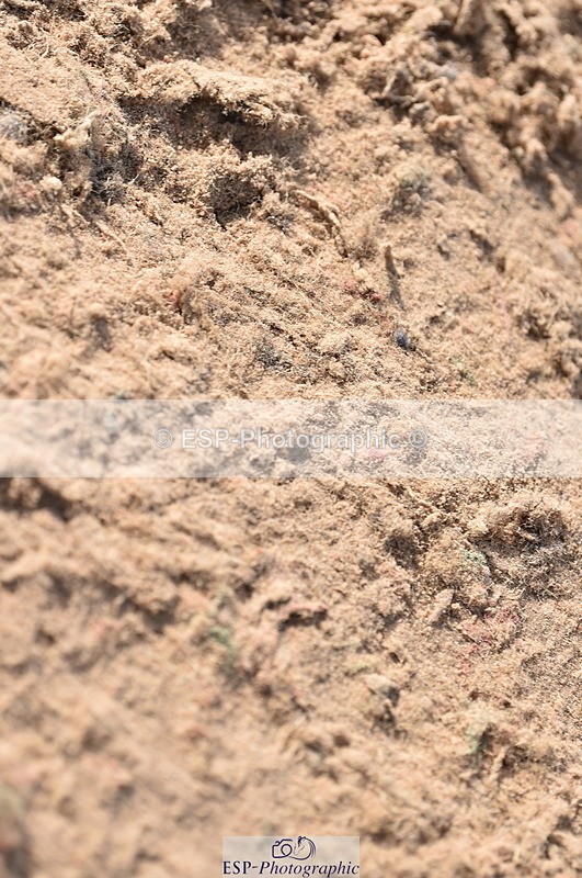 231015A-125842-08173 - Cls 25 95cm Amateur Q 2nd R