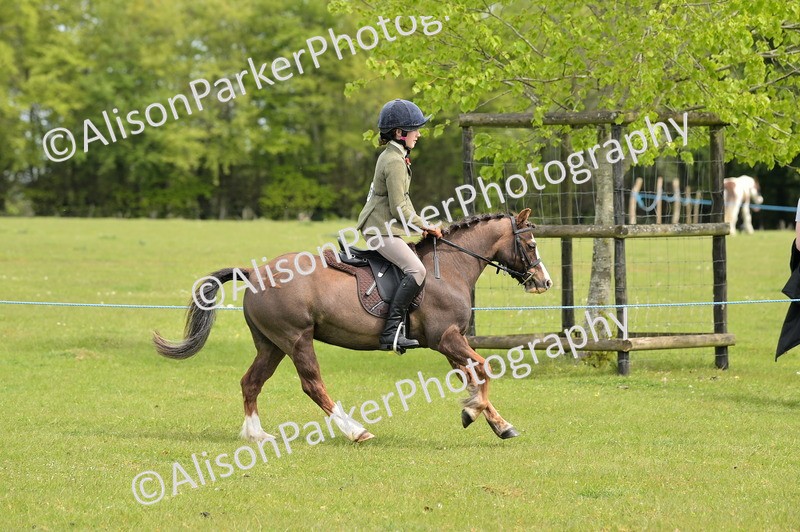 20260426-2444 - Class 21 - Working Hunter Ponies