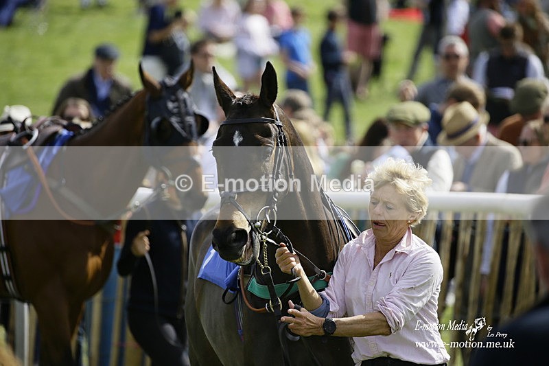 PtP 180422 28 - Old Berkshire PtP Lockinge 18/04/22