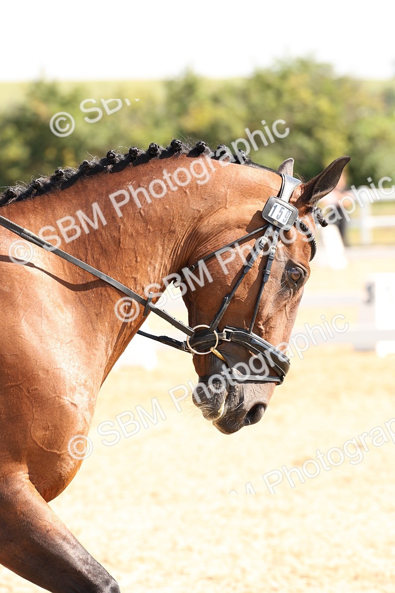 SBM_003379
