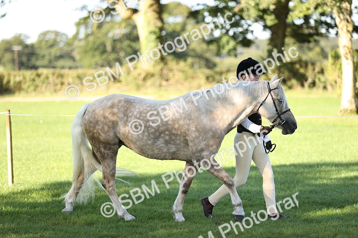 SBM_15843 - S1 - TSR in Hand Horse & Pony Showing