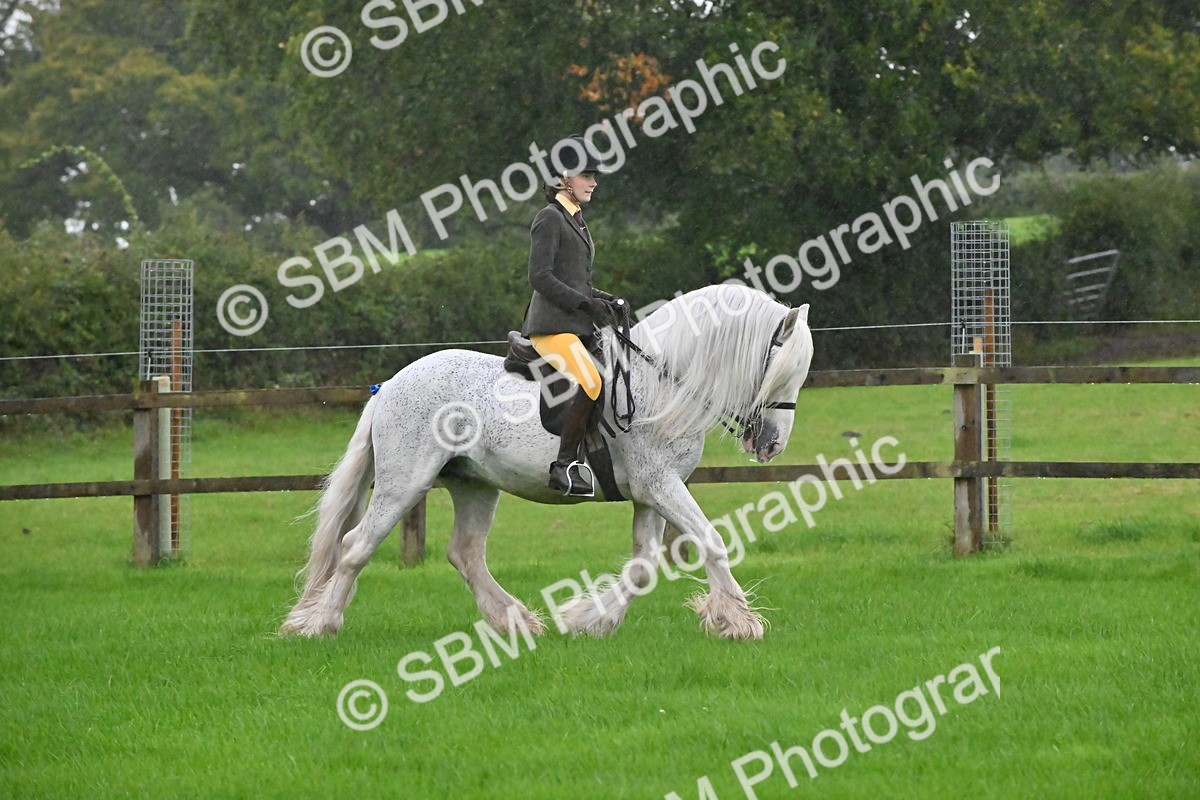 SBM_35653 - S16 - Top Turnout - Ridden