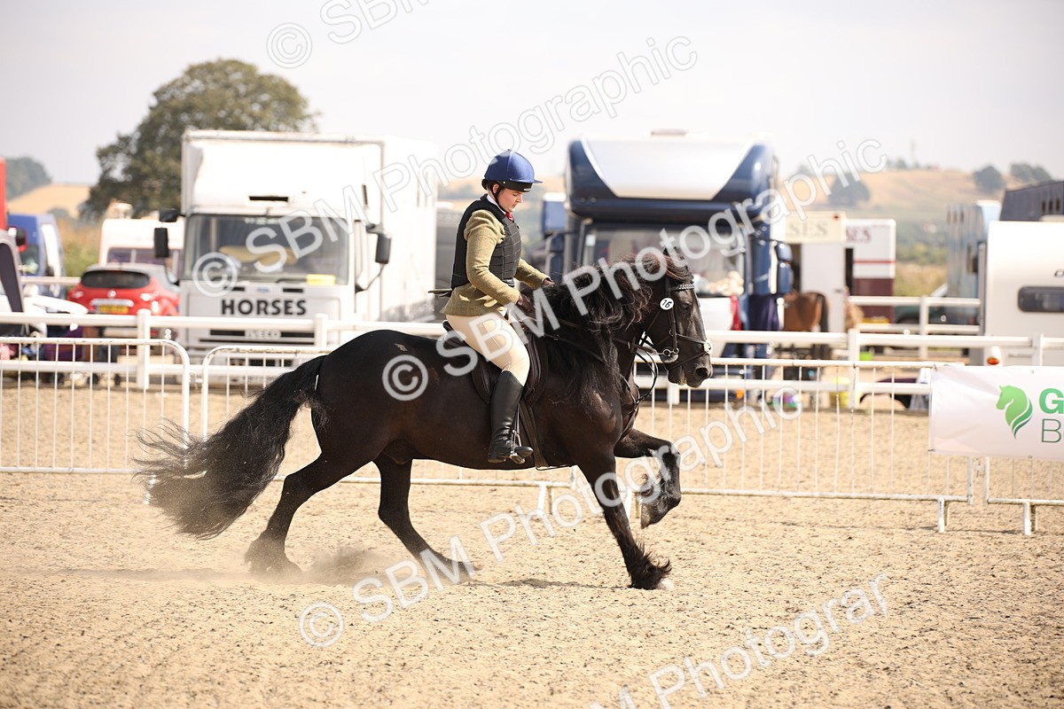 SBM_14995 - Class 408a - Working Veteran 70cm (15-19