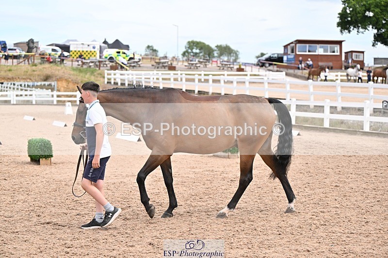 250716-142850-01109 - Trot Up 1.30 to 2.30