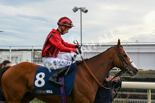 131023-Race 4-Hafeet Alain-7894 - Race 4 3.50pm William Hill Autumn Mile Handicap