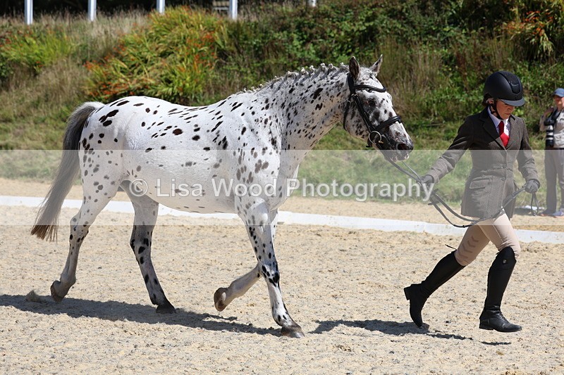 3E7A9439 - Class 29: Veteran In Hand