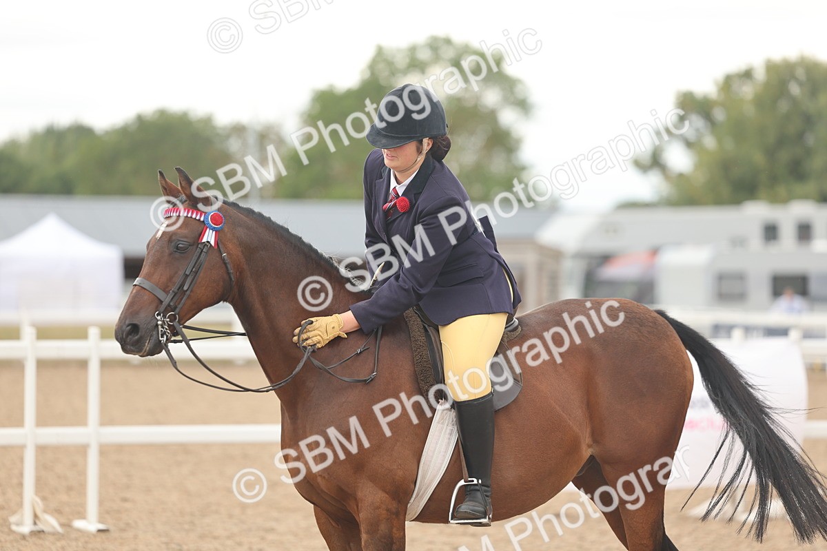 SBM_16055 - Class 311 - Ridden Show pony-Show hunter Pony