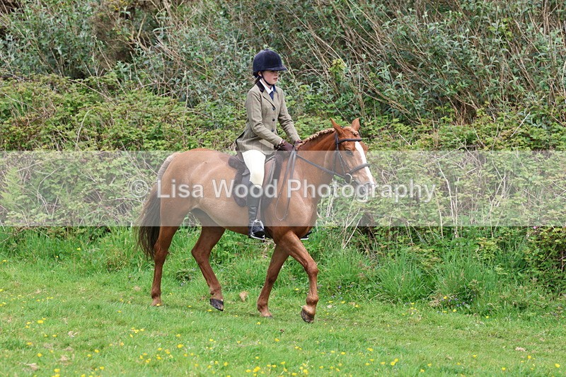 3E7A1686 - Class 9: Riding Club Horse/Pony