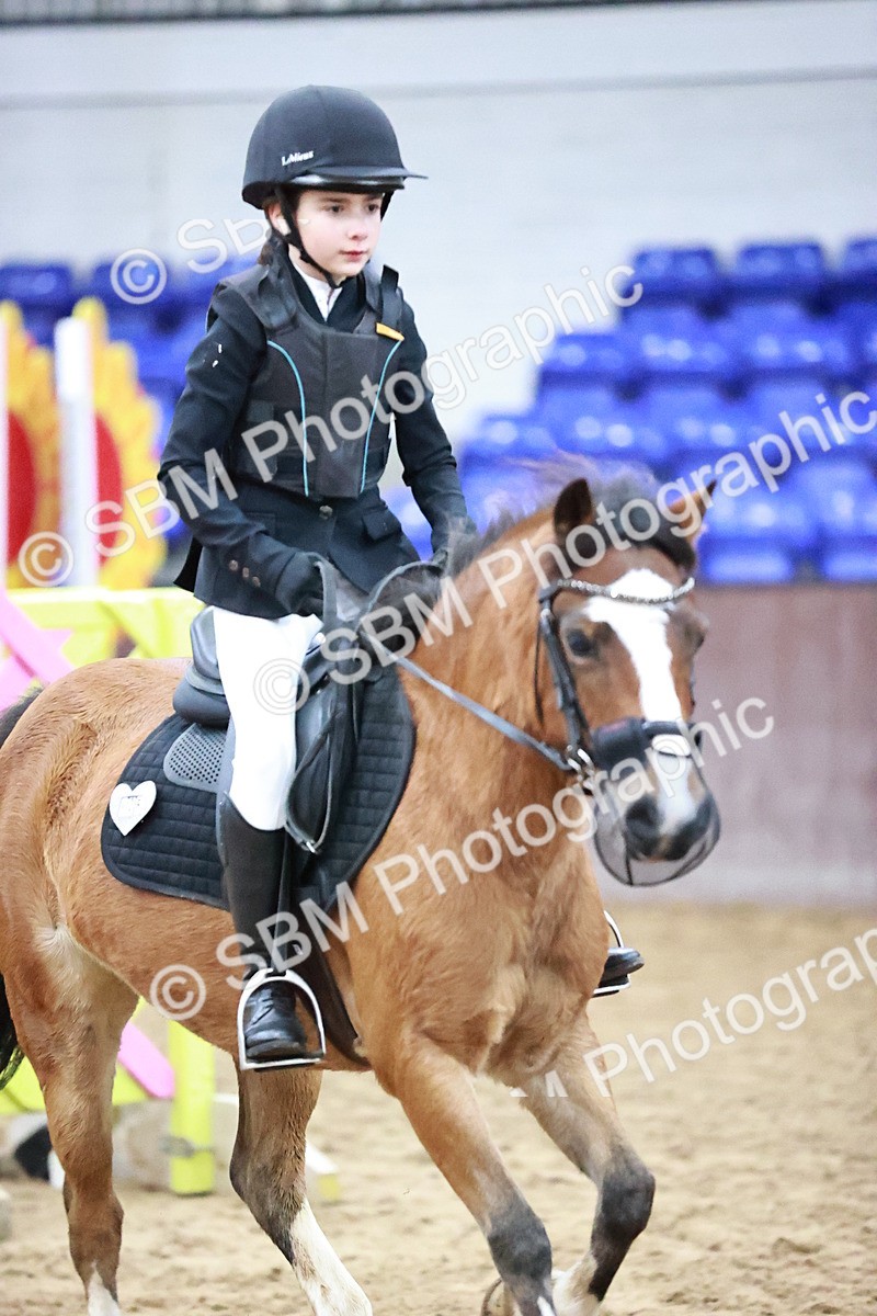 SBM_000187 - Class 1 - Cross Pole Jumping 30cm 40cm