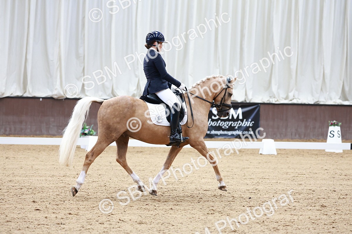 SBM_017299 - Class15 - FEI Pony