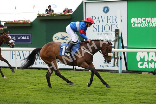 yr11062022r2-91 - Race 2 2.00pm Queen Mother's Cup