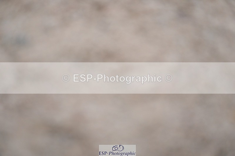 250308-133046-02205 - Cls 10 Pony Foxhunter and 1.10m