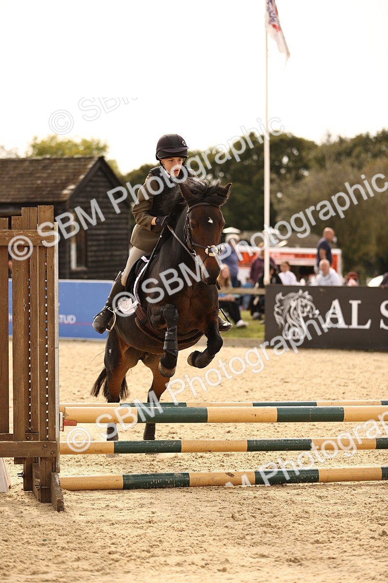 SBM_70777 - J13 - Junior Pony 60cm Championship