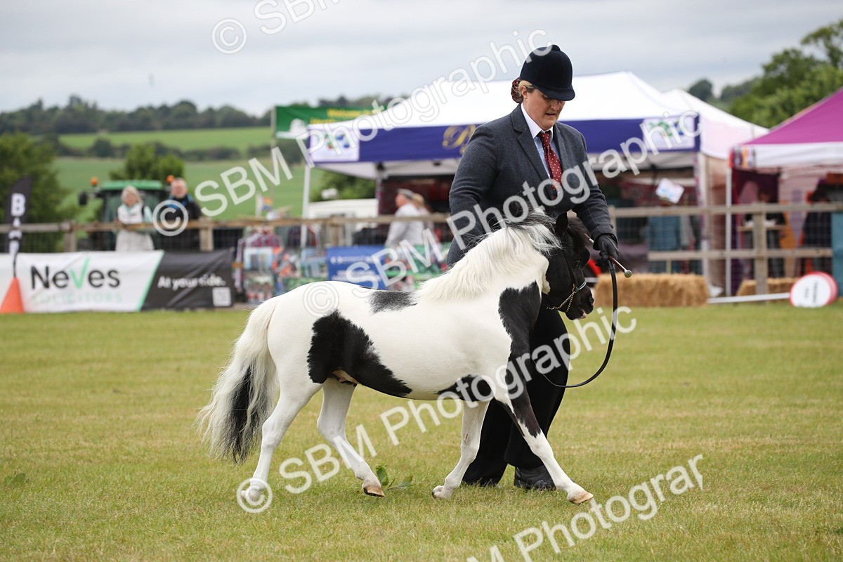 SBM_03817 - Class 23-25 - British Miniature Horse of the Year