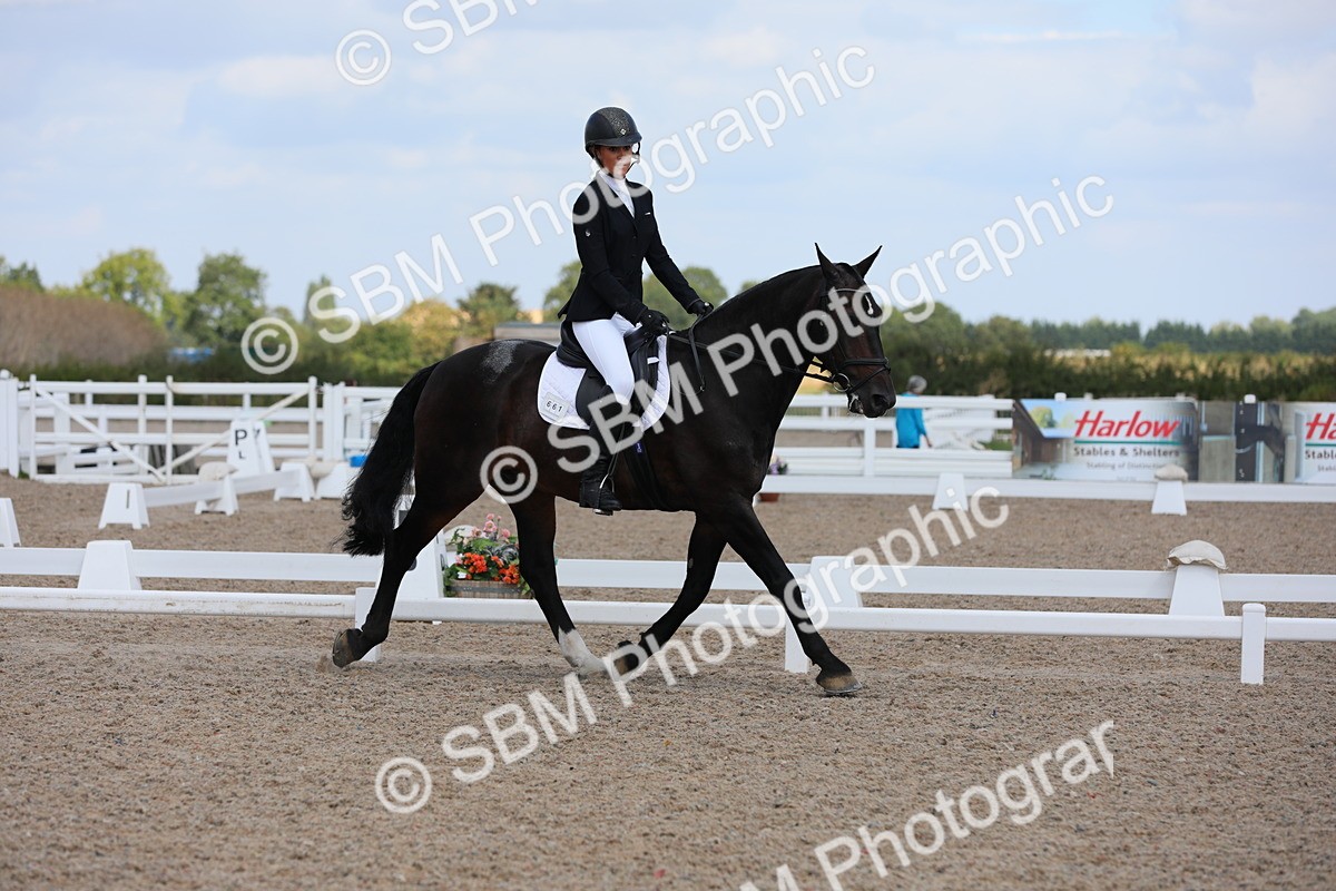 SBM_04063 - Class 31 Prelim 1