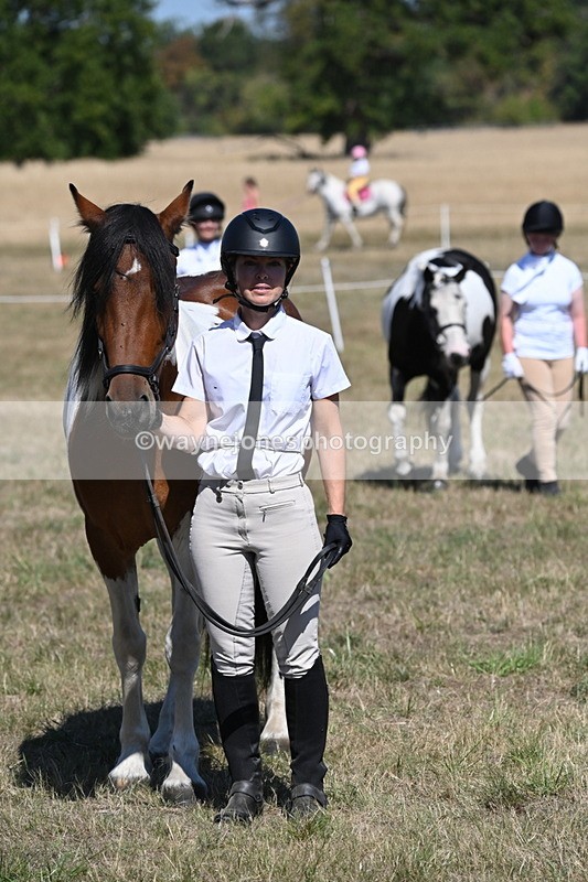 WJ6_8704 - Class 37b Best Loan Pony In-hand