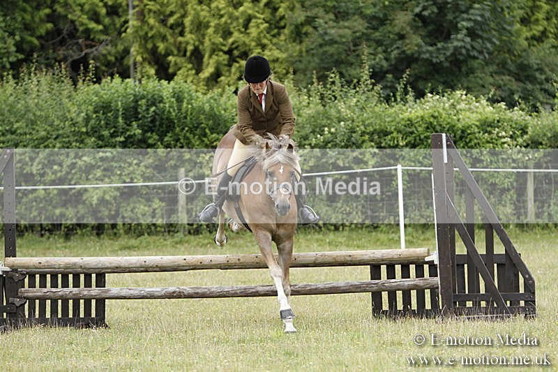 BVR160717-133 - Ring 3 BVRC Show 16/07/17