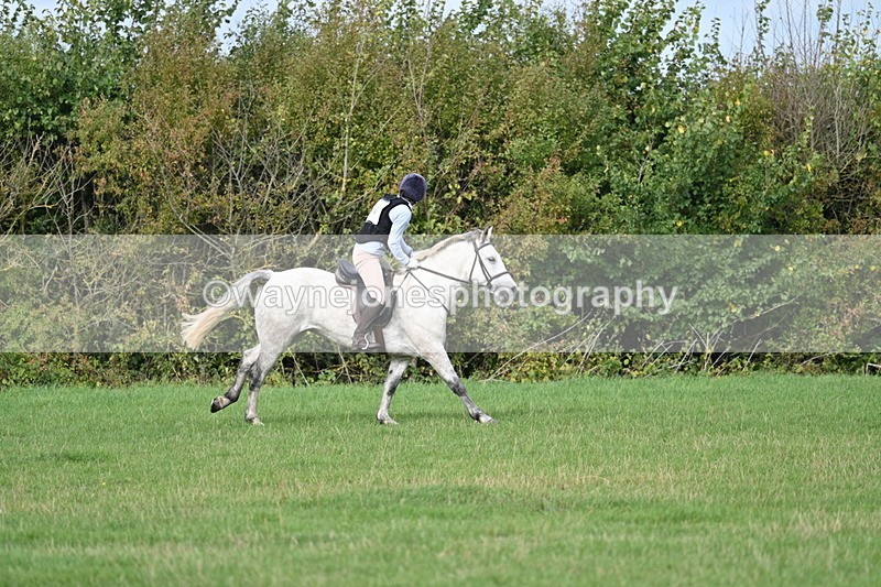 WJ7_8417 - 60cm Pairs