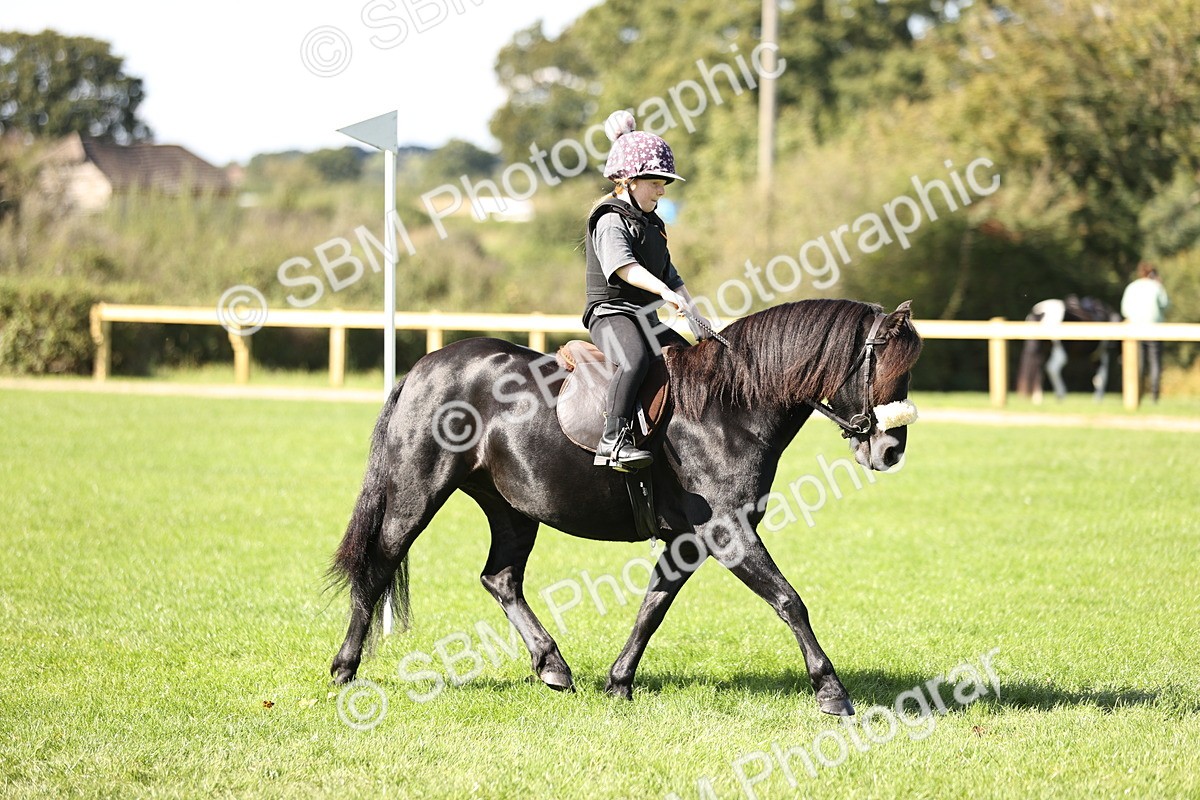 SBM_23082 - S4 - Have a Go at Working Equitation