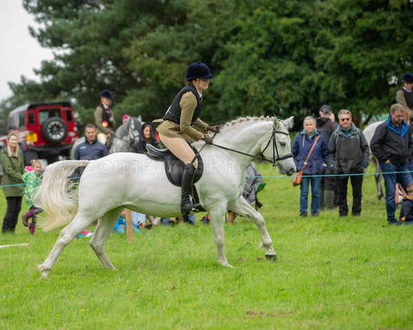 Dunblane show-362 - Dunblane and Doune Show Ring 1