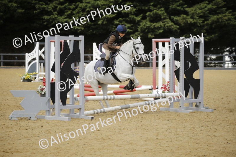 20250622-3687 - 50cm