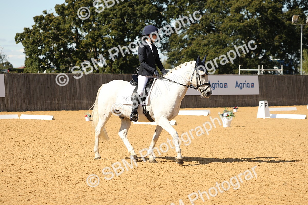 SBM_22362 - D17 - Grand Tour Championship - Novice 27