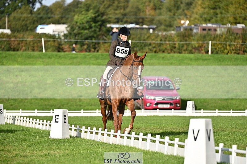 251024A-102750-08331 - G-556-Abi.Jacobs