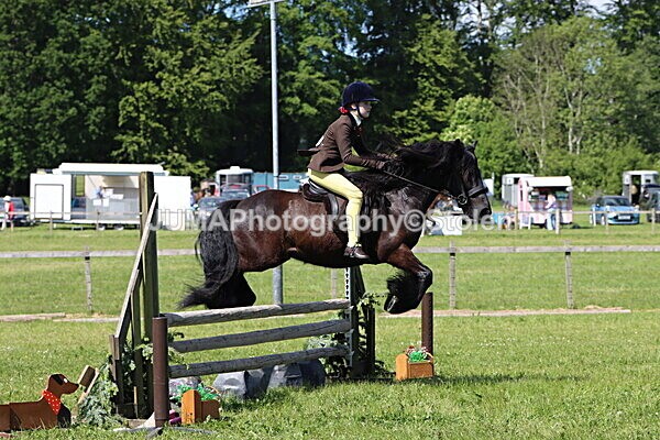 IMG_4314 - Working Hunter