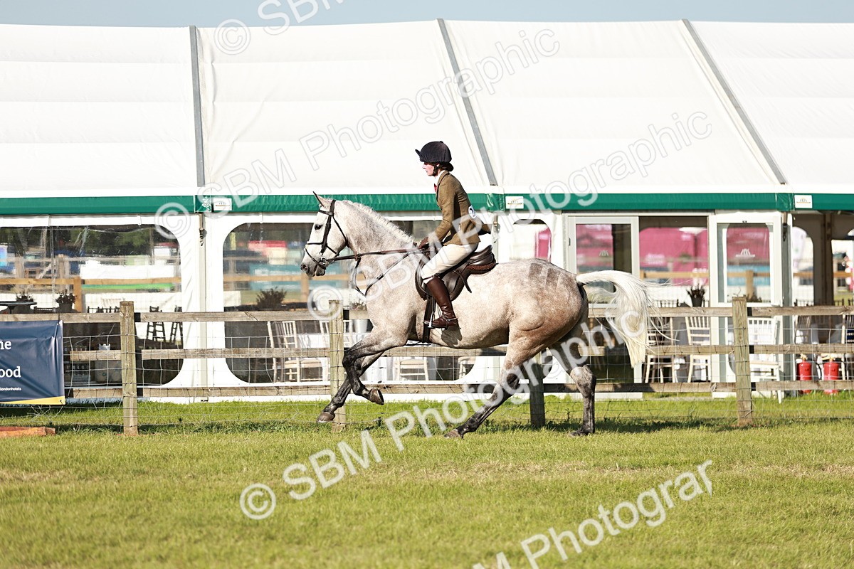 SBM_20007 - Class 115-116 - LIHS BSHA Rising Star Working Hunter & Show Horse