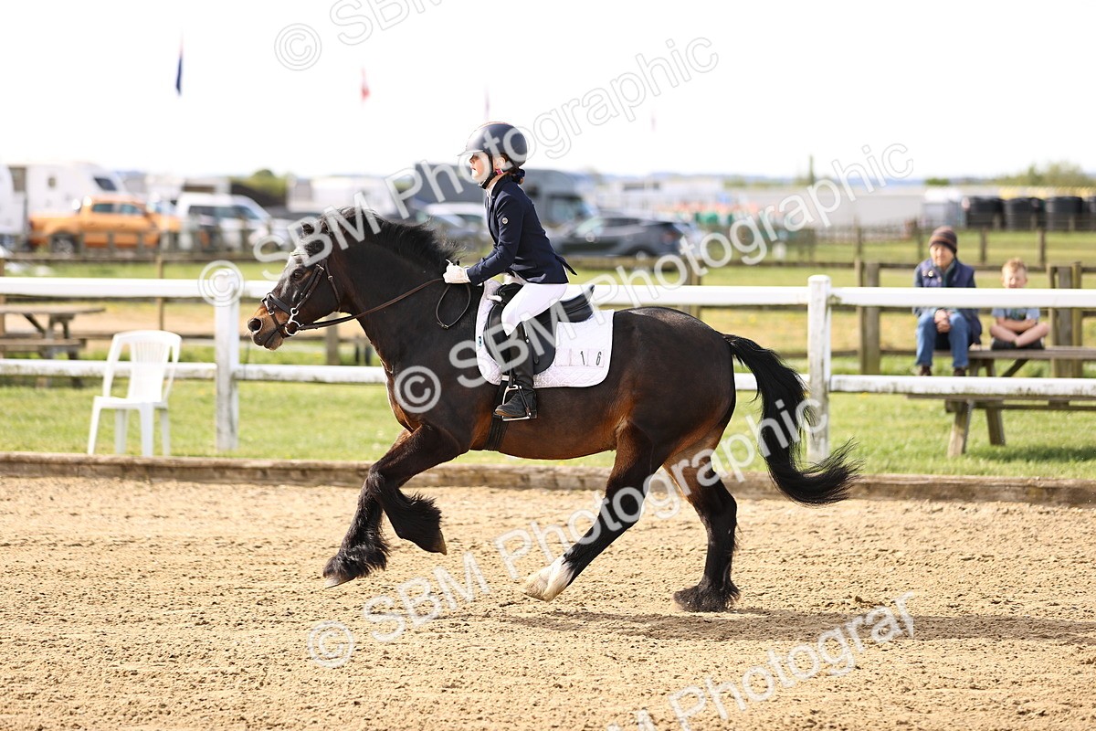 SBM_000091 - 50cm