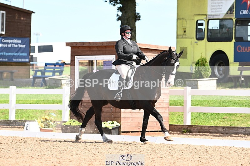 240816A-121806-04857 - 289-Rosey.Bradburn-High.Spirits.II