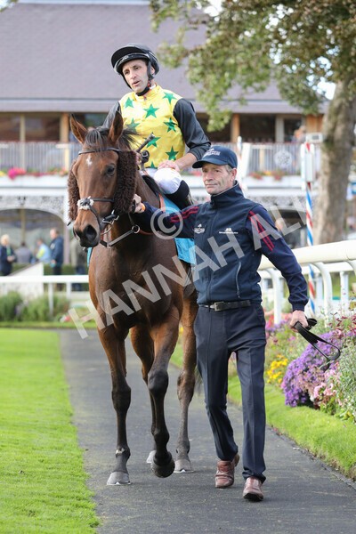 yr07102022r5-29 - Race 5 4.25pm Copper Knight Winningmost Horse Stakes