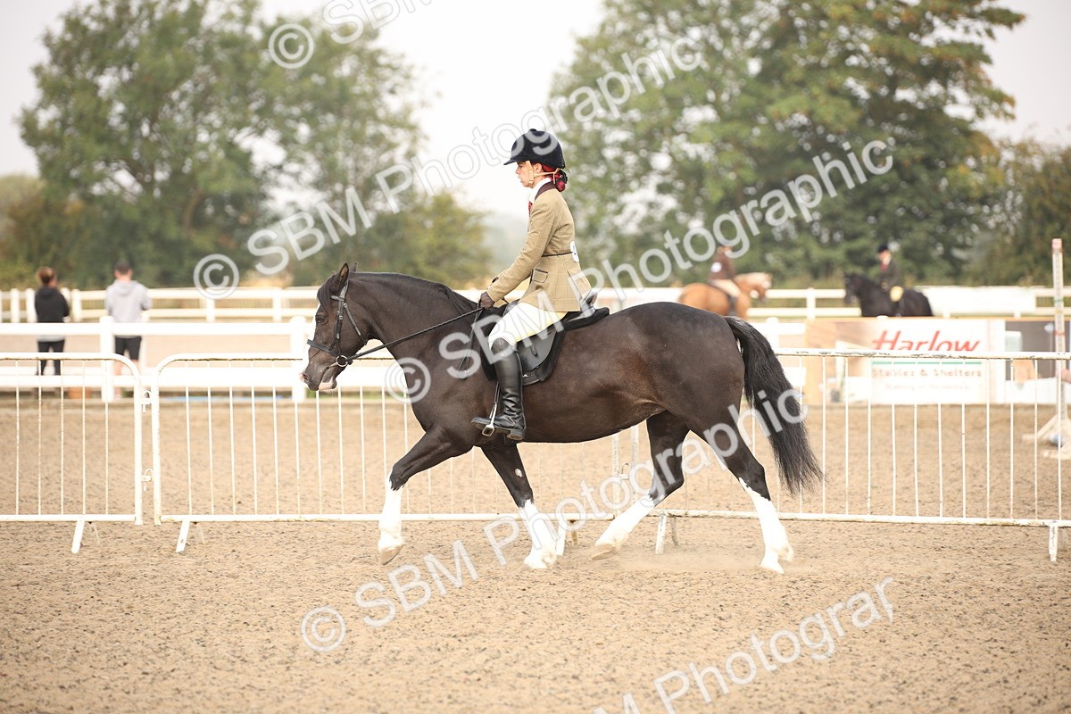 SBM_09703 - Class 401 Riding Club Pony