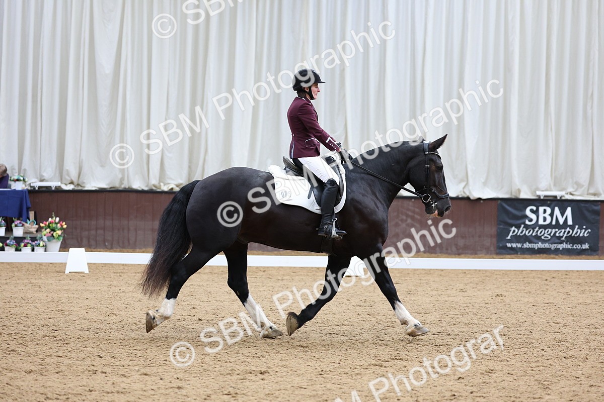 SBM_017153 - Class 16 - Novice FSM - 13.02-13.58