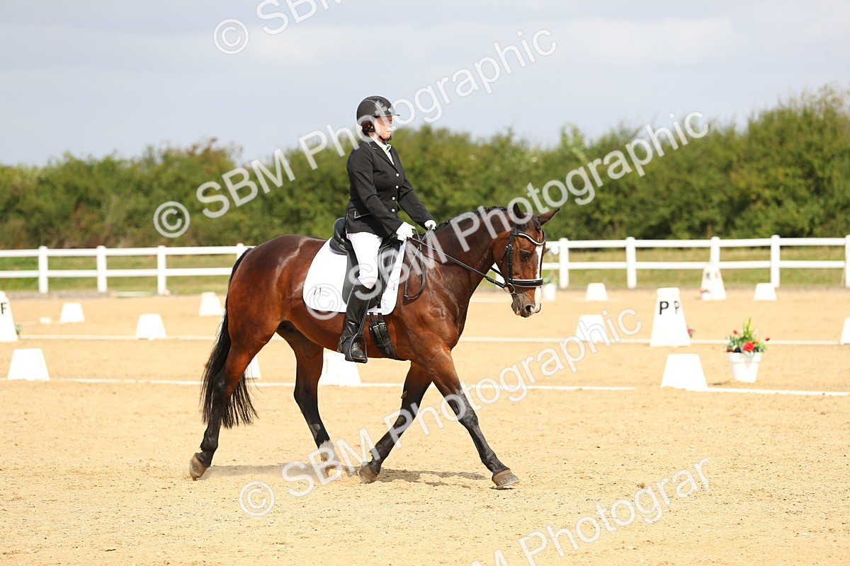 SBM_016356 - Class 13 - Novice 23 - 11.25-12.35