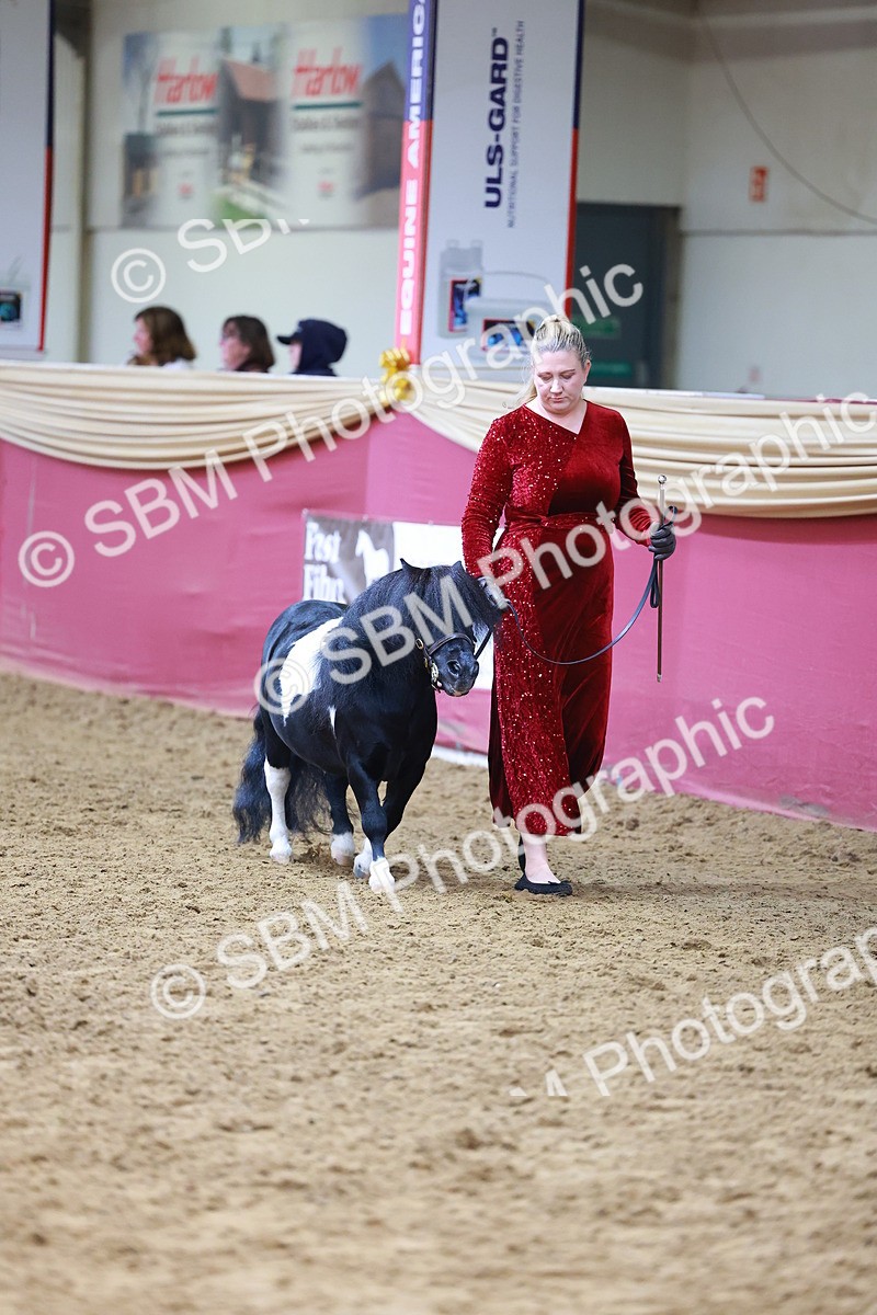 SBM_18560 - Class 903 - Sup Final - IH Pre Vet