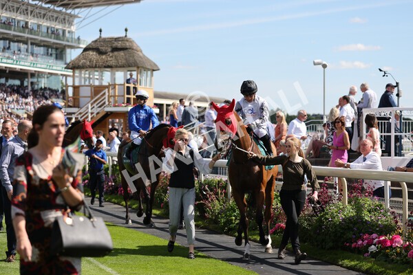 yr09072022r5-22 - Race 5 4.05pm John Smith's Cup