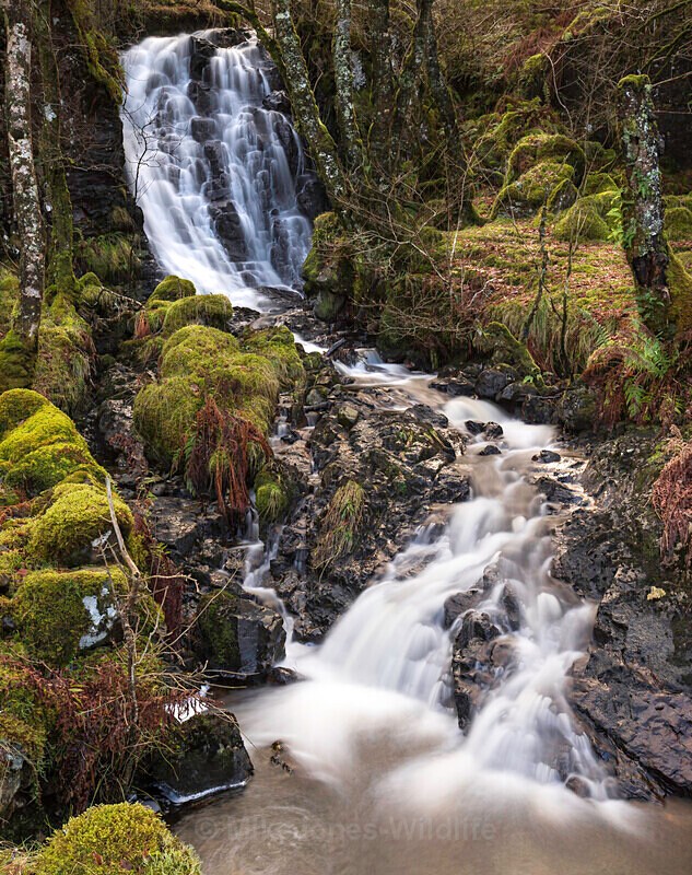 Isle of Mull Waterfall, Inner Hebrides, Scotland - LATEST... Isle of Mull Otters and Landscapes December 2022 & Seal Pups from Donna Nook, Lincs