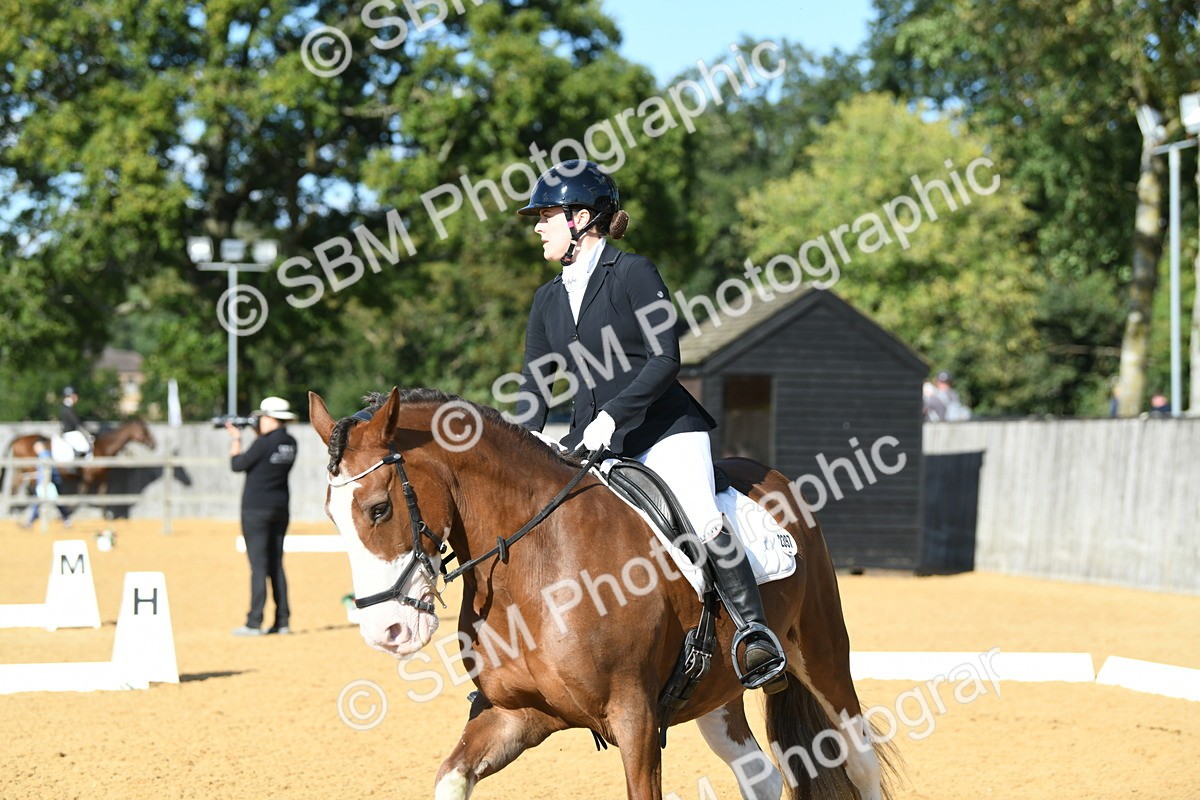 SBM_27106 - D16 - Small Tour Championship - Novice 28