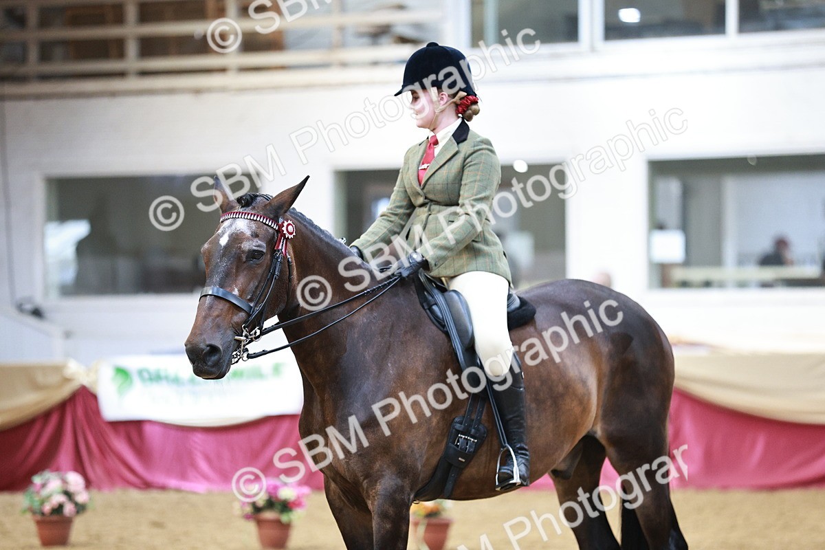 SBM_07237 - Class 10R - Regional Ridden Diamond